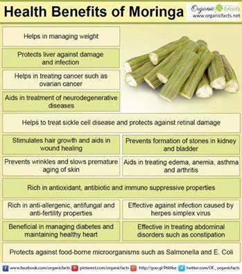 10 More Great Reasons to use 100% Pure Moringa - Moringa Life