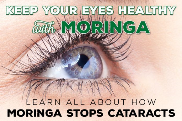 Moringa for Eye Health – Studies Show Moringa Fights Cataract Development - Moringa Life