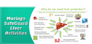 MORINGA SUPPORTS LIVER FUNCTION