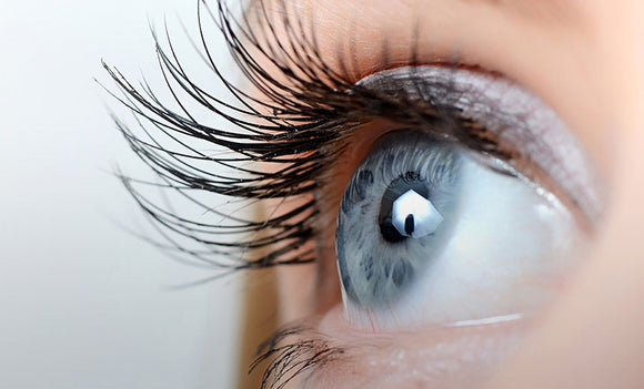 Benefits of Moringa for Eyes