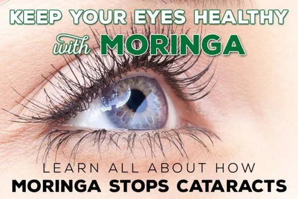 Moringa for Eye Health: Studies Show It Helps Prevent Cataracts Naturally - Moringa Life