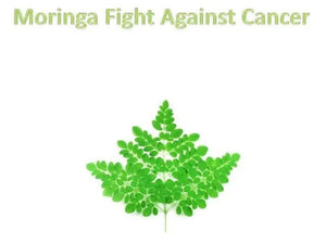 Moringa Oleifera for Cancer: Natural Prevention and Support During Treatment