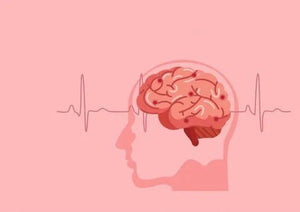 Moringa: The Superfood That Boosts Brain Health and Memory