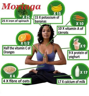Moringa’s Complete Vitamin and Amino Acid Profile: Why It’s Nature’s Multivitamin