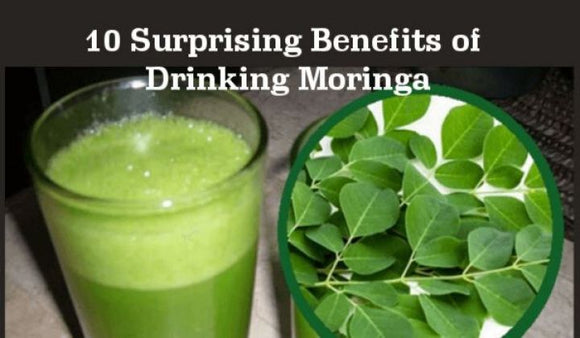 Moringa Leaves Benefits: 10 Surprising Benefits of Drinking Moringa - Moringa Life
