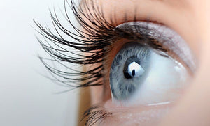 The Moringa Advantage: How This Superfood Supports Eye Health Naturally