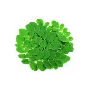 The Moringa Advantage: Naturally Supporting Better Eyesight - Moringa Life