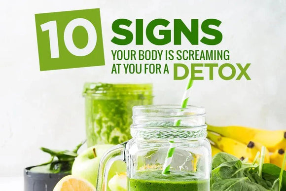 Why Your Body Needs a Detox—And How Moringa Can Help - Moringa Life