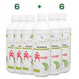 Moringa Concentrate Extract for HIV and Aids - Image #9