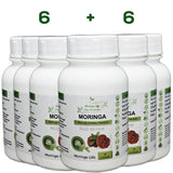60 x Red Reishi Capsules - Image #4