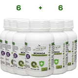 Pure Organic Moringa Capsules x 120 with added Echinacea - Image #5