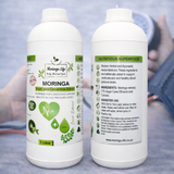 Heart Health Blend – Moringa Extract with Turmeric for Blood Pressure & Cholesterol