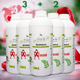 Moringa Concentrate Extract for Immune Support – HIV & AIDS Wellness
