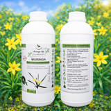 Moringa Concentrate with African Potato – Immune & Inflammation Support (Liquid Extract)