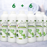 Heart Health Blend – Moringa Extract with Turmeric for Blood Pressure & Cholesterol