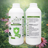 Moringa Concentrate Extract for Immune Support with added Echinacea