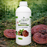 Moringa Concentrate with Red Reishi – Ultimate Wellness Elixir