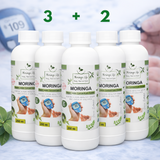 Moringa Concentrate Extract for Diabetes Support – with Gymnema Sylvestre