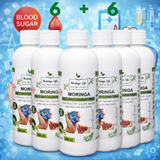 Moringa Concentrate Extract for Diabetes Support – with Gymnema Sylvestre