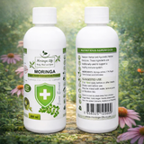 Moringa Concentrate Extract for Immune Support with added Echinacea