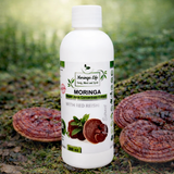 Moringa Concentrate with Red Reishi – Ultimate Wellness Elixir