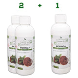 Moringa Concentrate Extract with added Red Reishi - Image #2