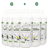Moringa Concentrate Extract with added African Potato - Image #12
