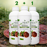 Moringa Concentrate with Red Reishi – Ultimate Wellness Elixir