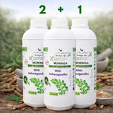 Moringa + Ashwagandha Boost – Natural Strength, Energy & Vitality Formula