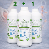 Moringa Concentrate Extract for Joint Wellness Support – with Devil's Claw