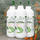 Moringa + Cancer Bush Liquid Extract – Immune, Mood & Anti-Inflammatory Support