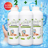 Moringa Concentrate Extract for Blood Sugar Wellness – with Gymnema Sylvestre