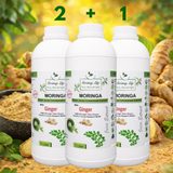 Moringa + Ginger Concentrate – Digestive & Anti-Inflammatory Support