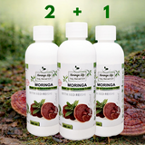 Moringa Concentrate with Red Reishi – Ultimate Wellness Elixir