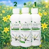 Moringa Concentrate with African Potato – Immune & Inflammation Support (Liquid Extract)