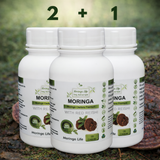 Moringa Capsules x 120 with Added Red Reishi – Immune & Energy Support