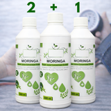 Heart Health Blend – Moringa Extract with Turmeric for Blood Pressure & Cholesterol