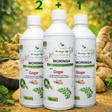 Moringa + Ginger Concentrate – Digestive & Anti-Inflammatory Support