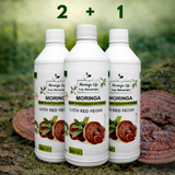 Moringa Concentrate with Red Reishi – Ultimate Wellness Elixir