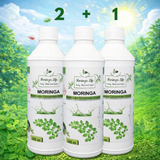 Moringa Super Juice Concentrate – Daily Nutrition in Every Drop