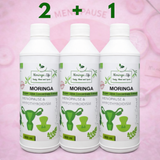 Moringa Concentrate Extract – Natural Menopause Support