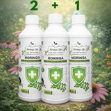 Moringa Concentrate Extract for Immune Support with added Echinacea