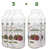 Moringa Concentrate Extract with added Red Reishi - Image #11