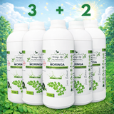 Moringa Super Juice Concentrate – Daily Nutrition in Every Drop