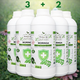 Moringa Concentrate Extract for Immune Support with added Echinacea