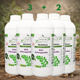 Moringa + Ashwagandha Boost – Natural Strength, Energy & Vitality Formula