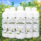 Moringa Concentrate with African Potato – Immune & Inflammation Support (Liquid Extract)