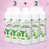 Moringa Concentrate Extract – Natural Menopause Support