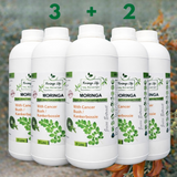 Moringa + Cancer Bush Liquid Extract – Immune, Mood & Anti-Inflammatory Support