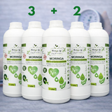 Heart Health Blend – Moringa Extract with Turmeric for Blood Pressure & Cholesterol